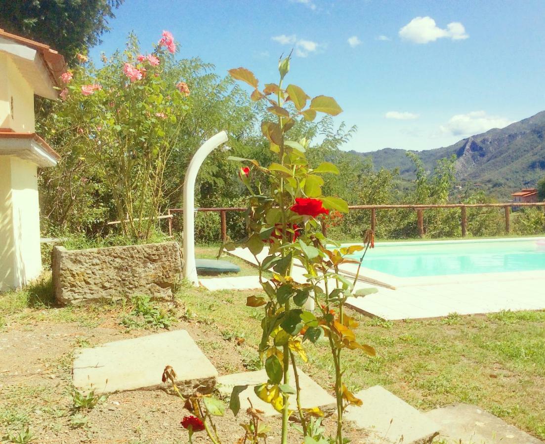 Le Apuane Pension Mezzana  Buitenkant foto