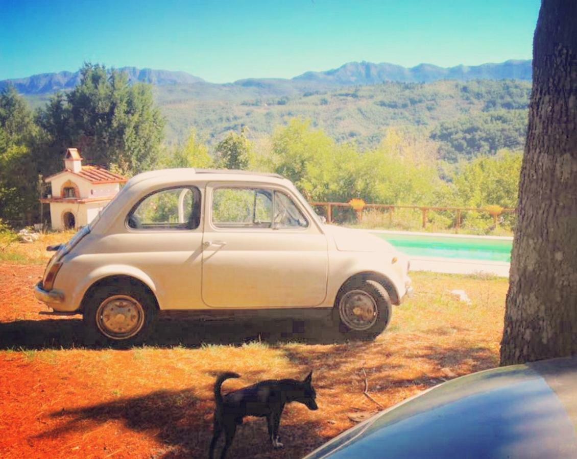 Le Apuane Pension Mezzana  Buitenkant foto