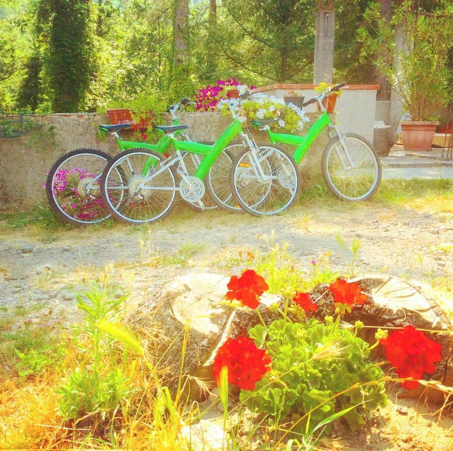 Le Apuane Pension Mezzana  Buitenkant foto